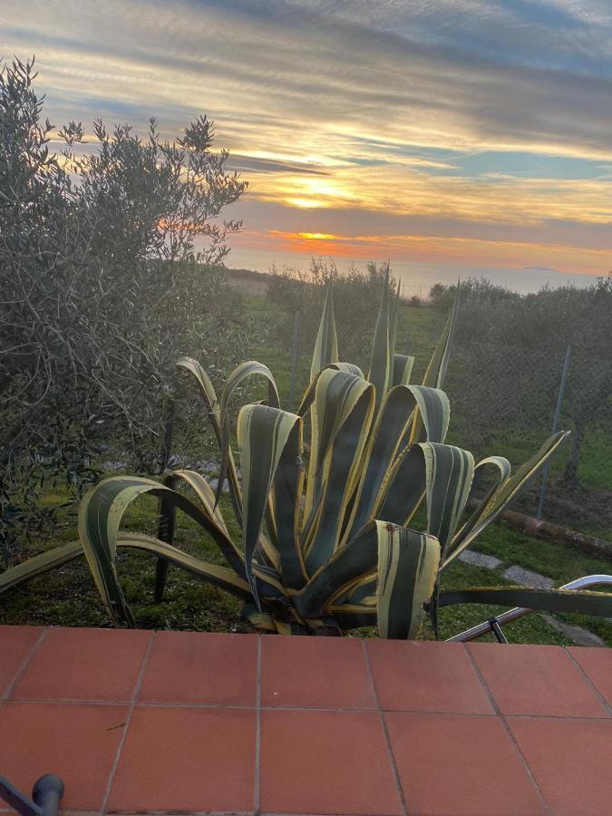 Sunset House Castiglioncello Exterior foto